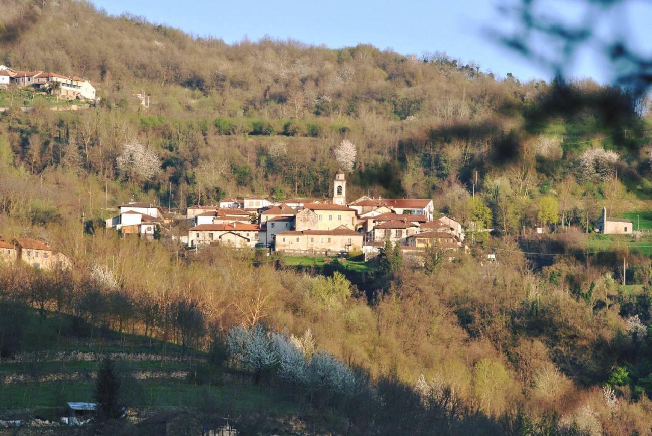 B&B Le Coccinelle Torre Bormida Экстерьер фото