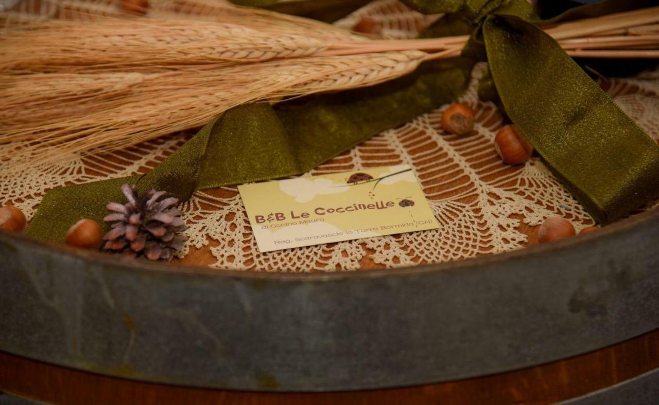 B&B Le Coccinelle Torre Bormida Экстерьер фото